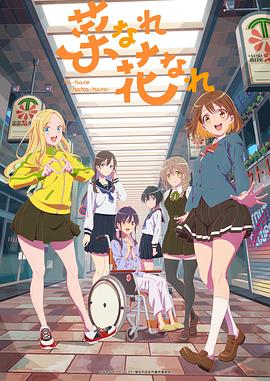 启东网站推荐优化软件